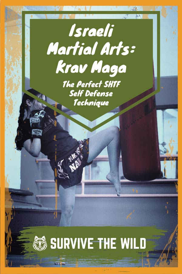 Israeli Martial Arts Krav Maga The Perfect SHTF Self